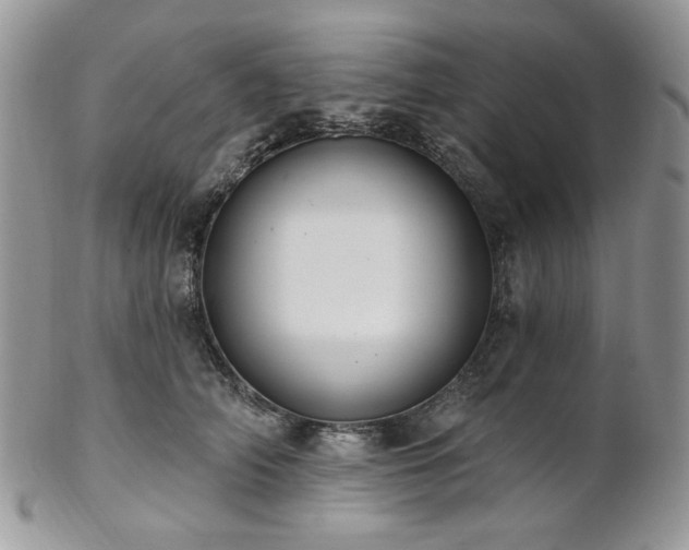 X0000102810706200808181223