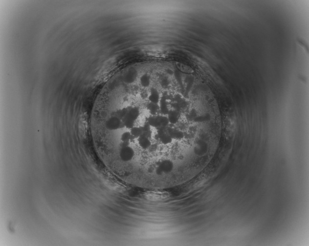 X0000102810707200808181223