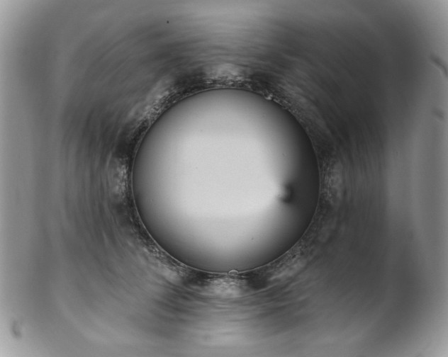 X0000102810708200808181223