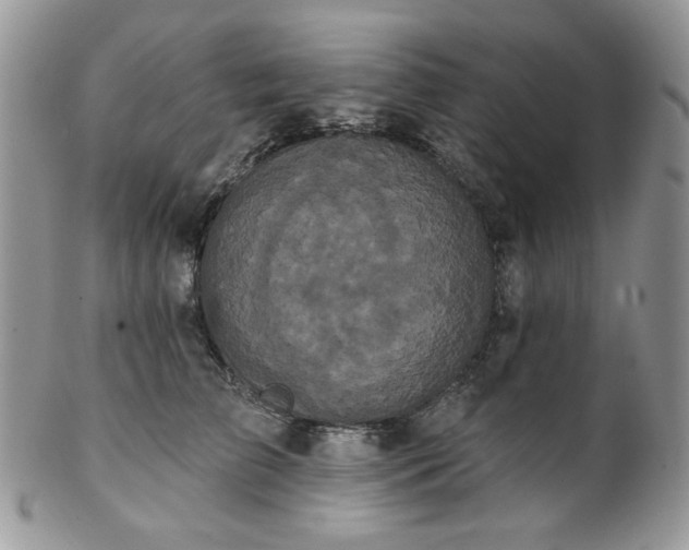 X0000102810709200808181223