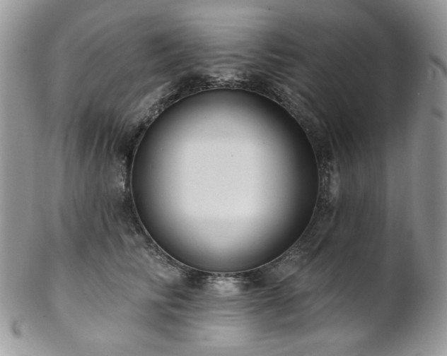 X0000102810710200808181223