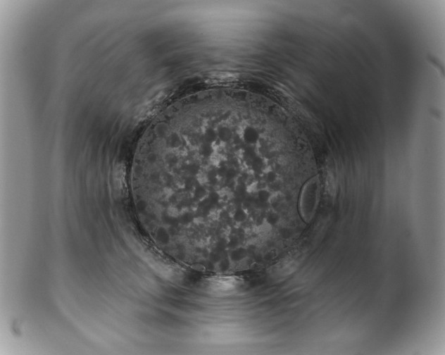 X0000102810711200808181223