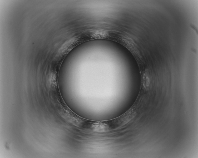 X0000102810714200808181223