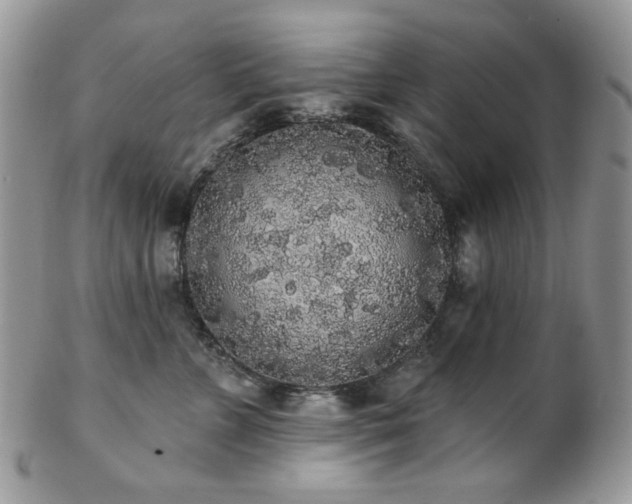 X0000102810715200808181223