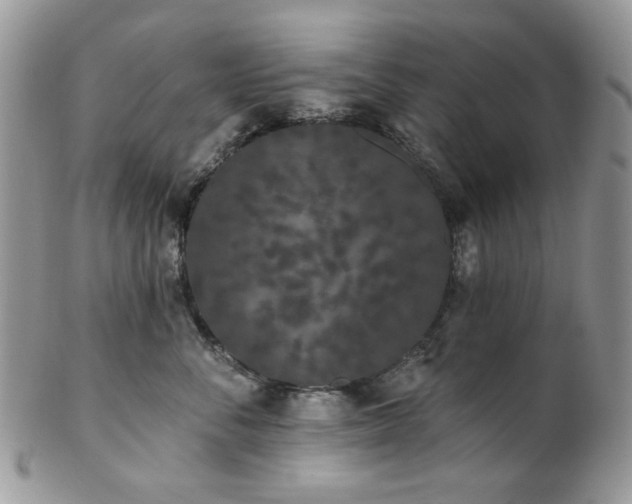 X0000102810716200808181223