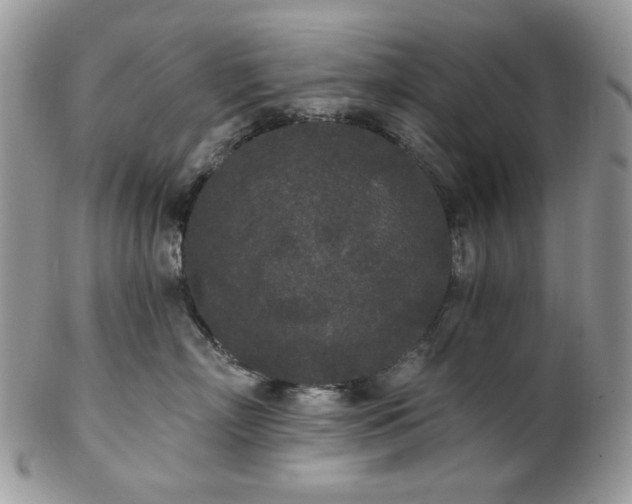 X0000102810718200808181223