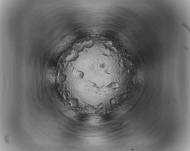 X0000102810719200808181223