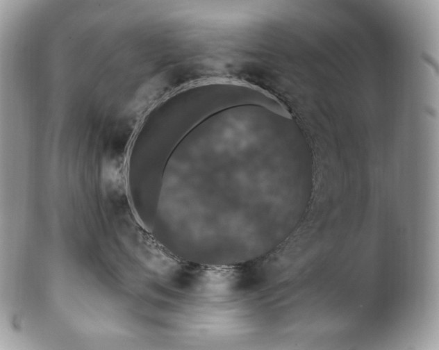 X0000102810720200808181223