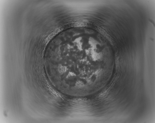 X0000102810721200808181222