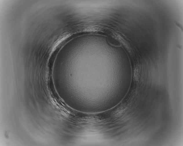 X0000102810724200808181223