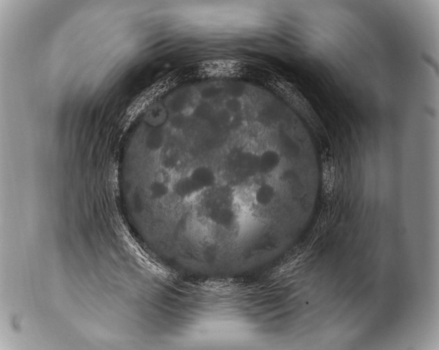 X0000102810725200808181223