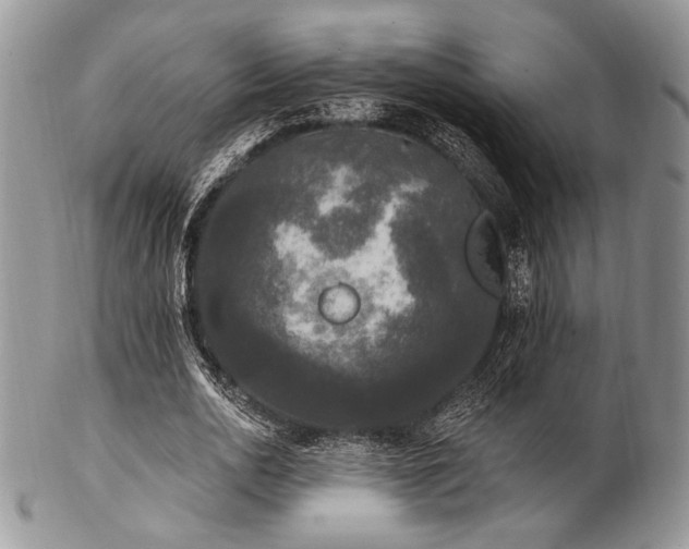 X0000102810726200808181223