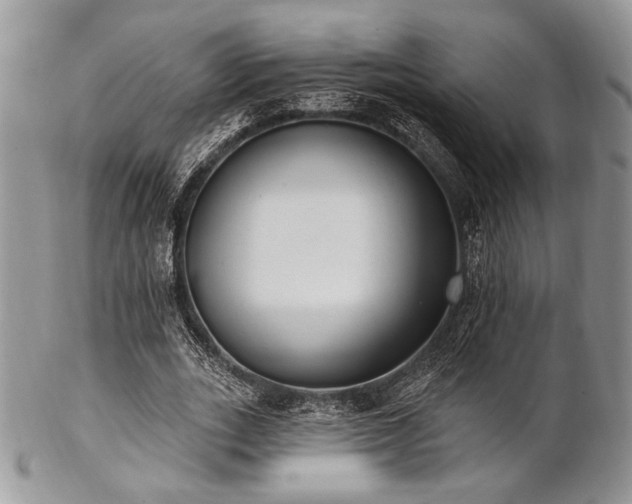 X0000102810727200808181223