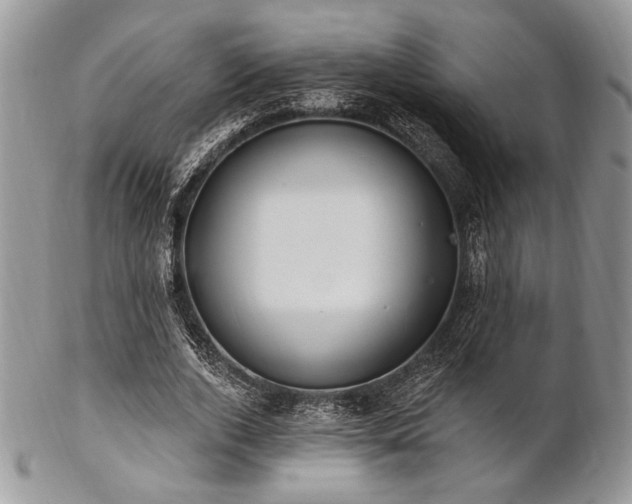 X0000102810728200808181223