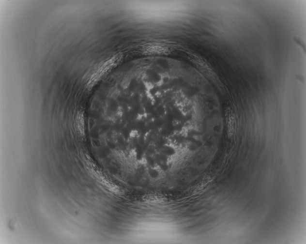 X0000102810729200808181223