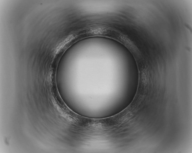 X0000102810730200808181223