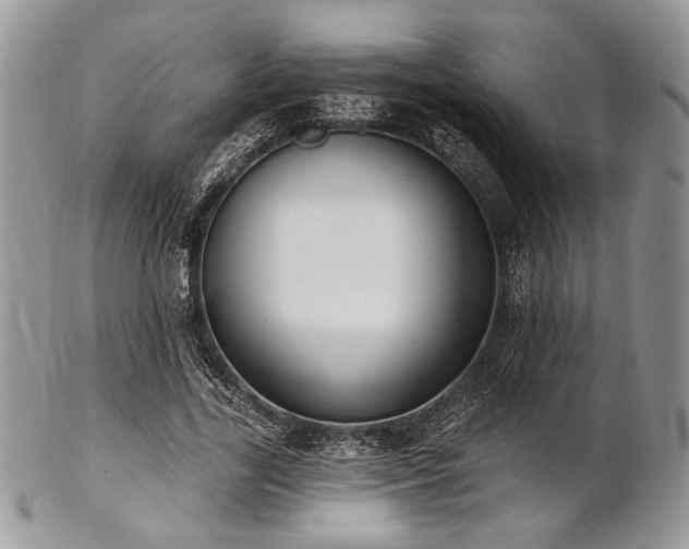 X0000102810731200808181223