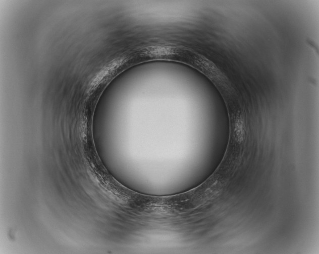 X0000102810732200808181223