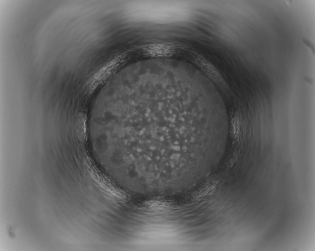 X0000102810733200808181223