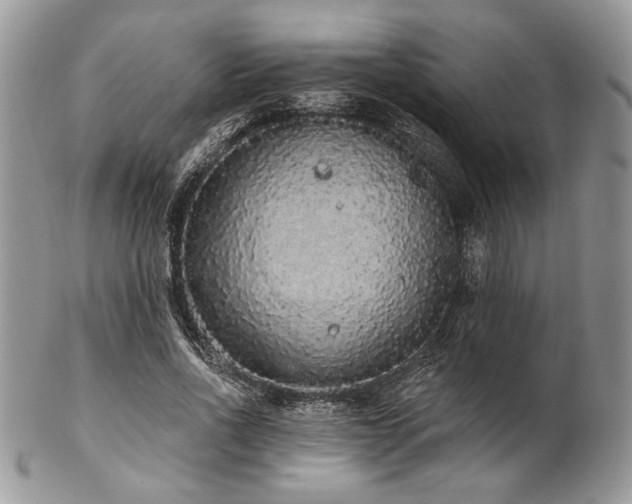 X0000102810734200808181223