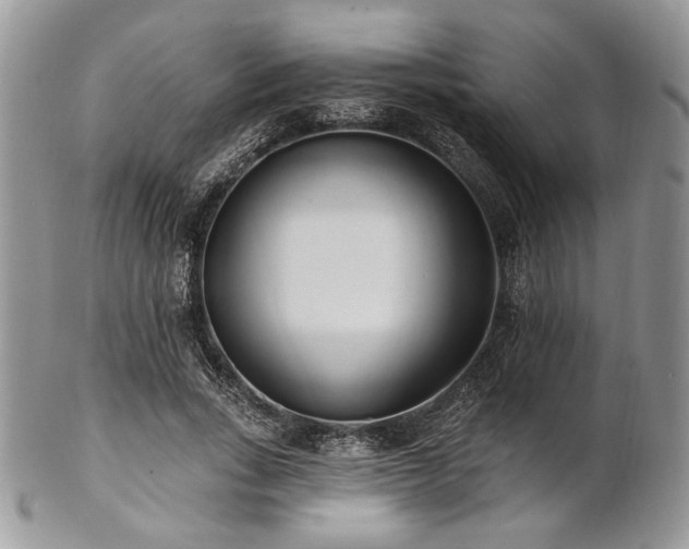 X0000102810735200808181223