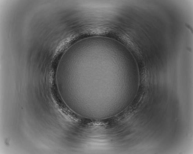 X0000102810736200808181223