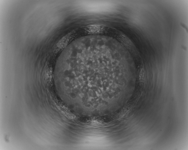 X0000102810737200808181223