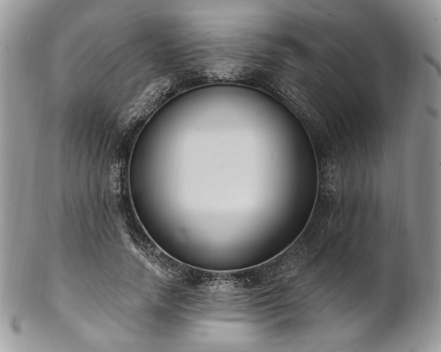 X0000102810738200808181223