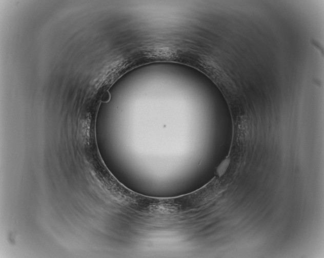 X0000102810739200808181223