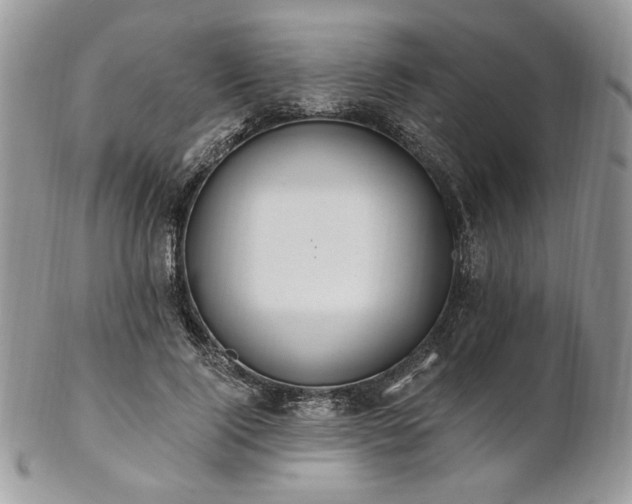 X0000102810740200808181223