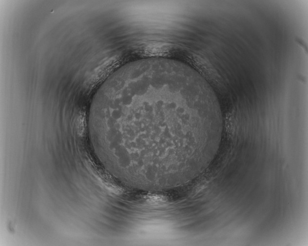 X0000102810741200808181223