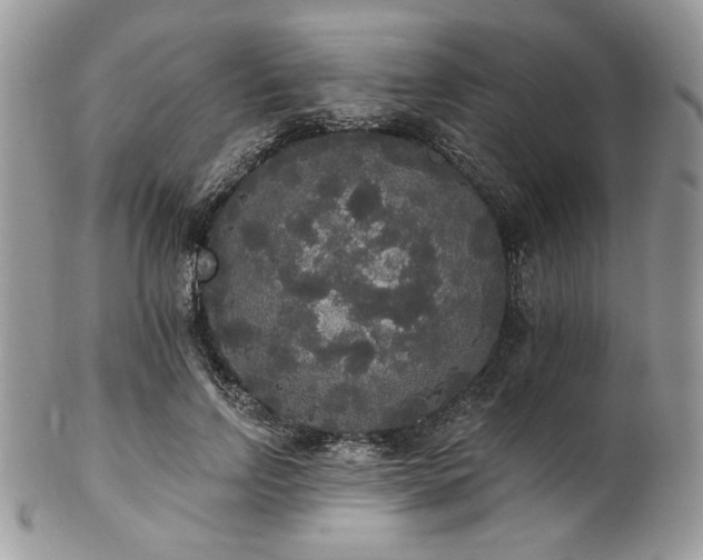 X0000102810742200808181223