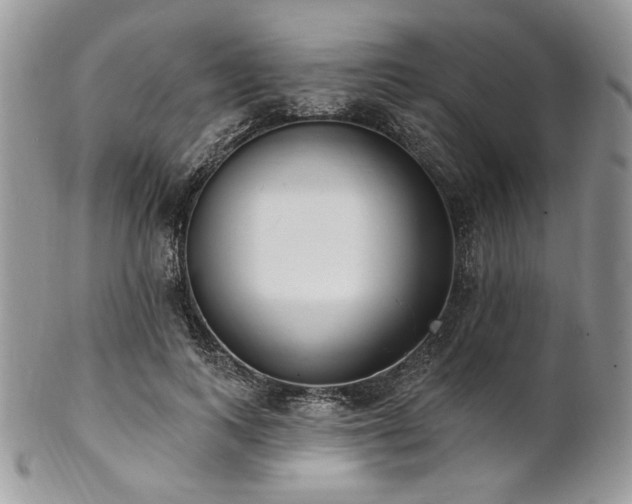 X0000102810743200808181223