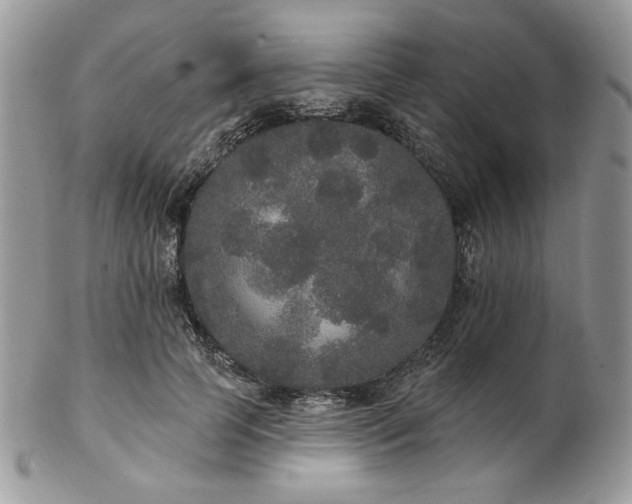 X0000102810745200808181223