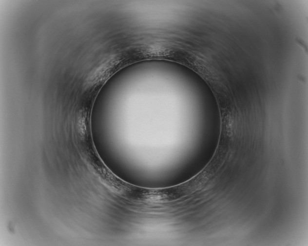 X0000102810746200808181223