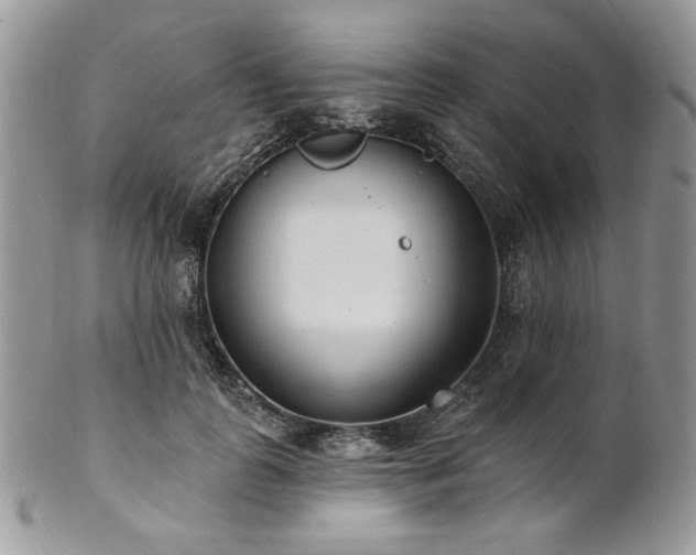 X0000102810747200808181223