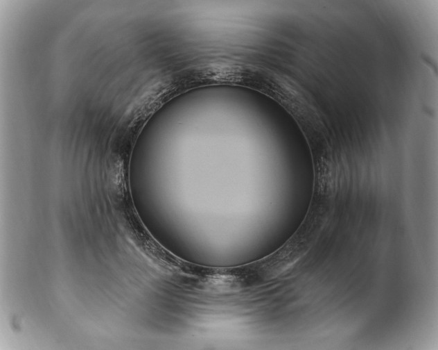 X0000102810748200808181223