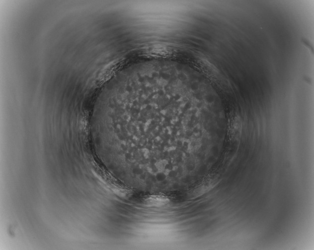 X0000102810749200808181223