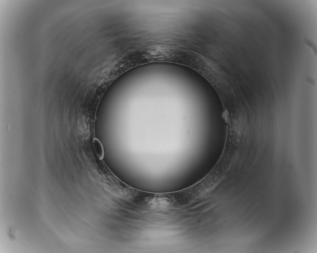 X0000102810751200808181223