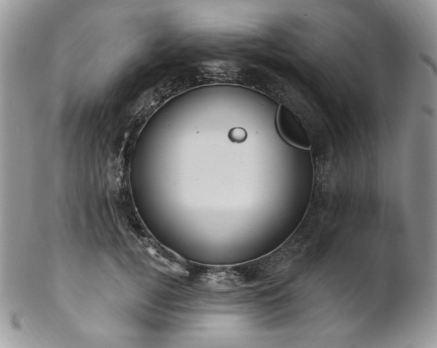 X0000102810752200808181223