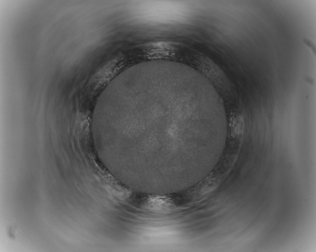 X0000102810753200808181223