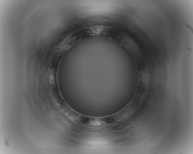 X0000102810754200808181223