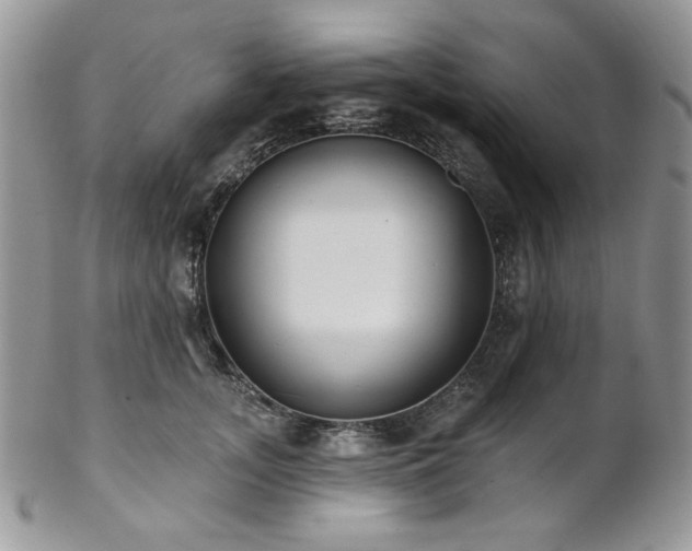 X0000102810755200808181223