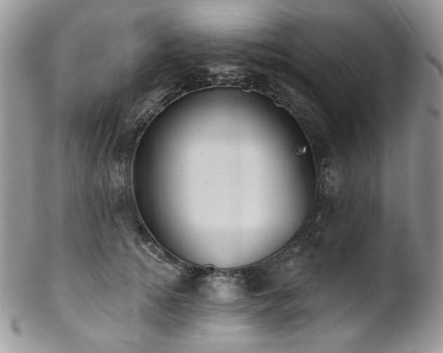 X0000102810756200808181223