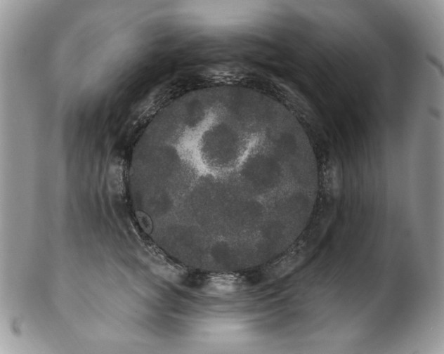 X0000102810757200808181223