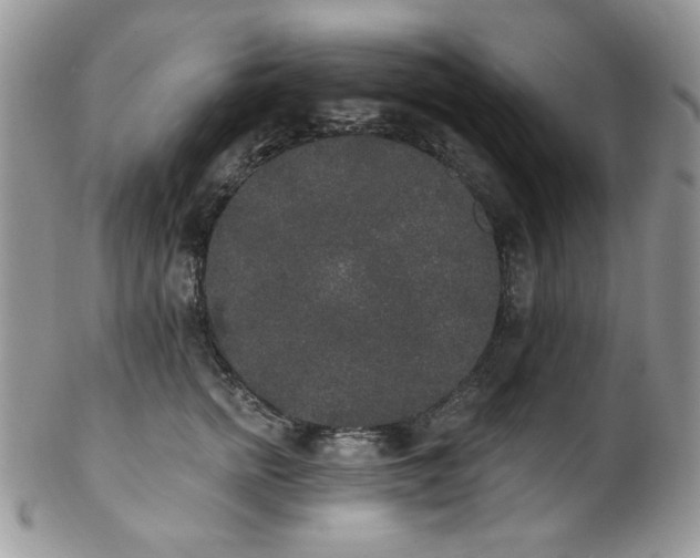 X0000102810758200808181223