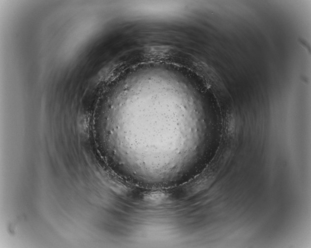 X0000102810759200808181223