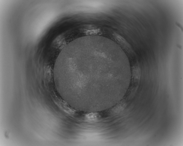 X0000102810761200808181223