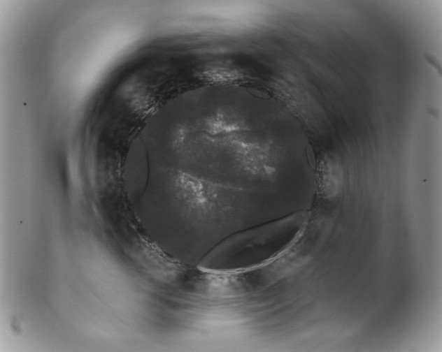 X0000102810762200808181223