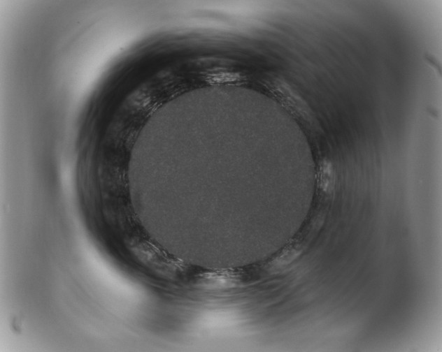 X0000102810763200808181223